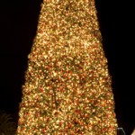 gal_tree_01