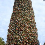 gal_tree_02