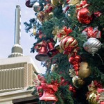 gal_tree_06