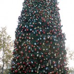 gal_tree_08